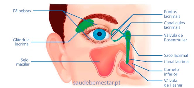 Dacriocistite fotos, imagens, entupimento do canal lacrimal