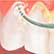 /pt/medicina/dentaria/limpeza-de-dentes/