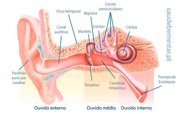 Vppb Vertigem Postural Paroxistica Benigna