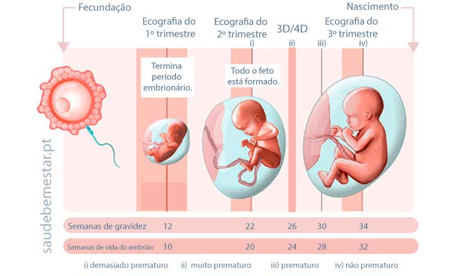 Sintomas da Gravidez – Parte III