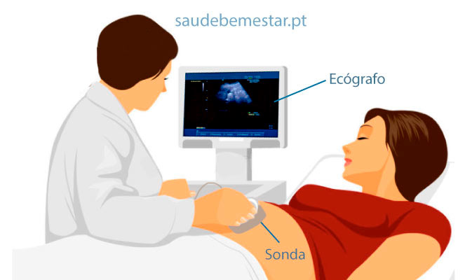 Fotos de Ecografia (ultrassonografia)