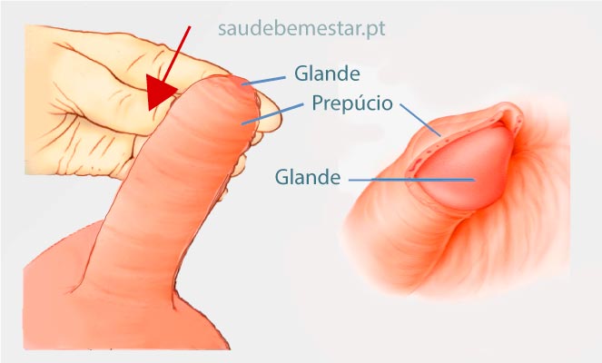 ce medicamente pentru penis