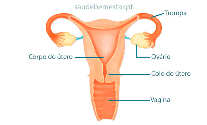 O que é ooforectomia?