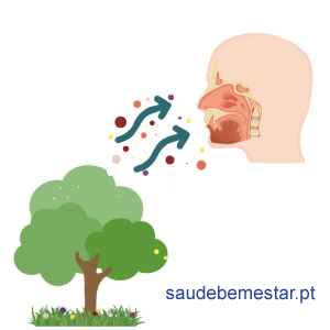 Alergia aos pólens