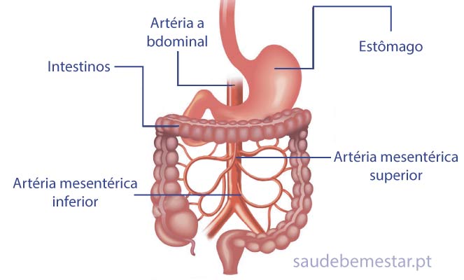 La miel es mala para el intestino