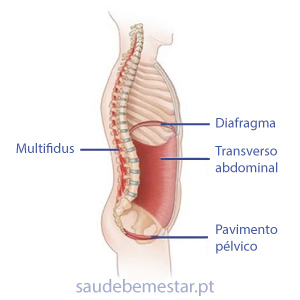 Anatomia região lombar