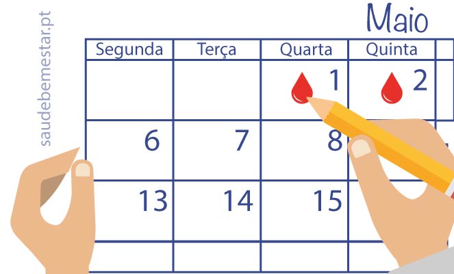 Ciclo menstrual: o que é, fases e cálculo do período fértil - Minha Vida