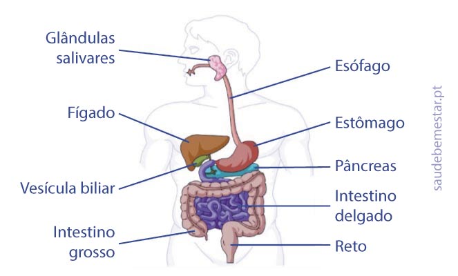 Fotos de  pancreatite